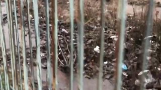 Документы для Германа в реале