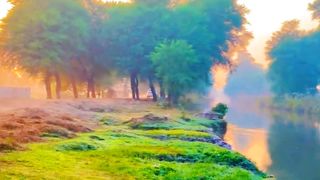 Beautiful Nature View | Village Beauty | Village Life | #febspotviral