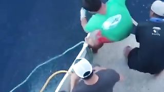 Great White eats tuna directly off fishing line