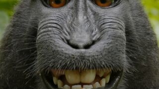 funny fails moment????????????????