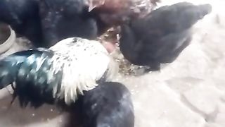 Eat from your side