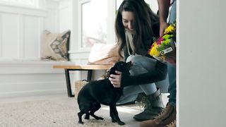 Levo It Air Purifiers for Pets in Home Large Room and Bedroom, Efficient Activated Carbon Filter for Hair Dander Odors