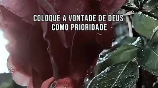 PRIORIZE AS VONTADES DE DEUS
