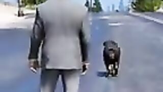 Dog dog