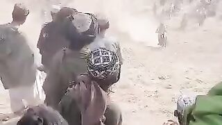 کیڑا اسے کہتے ہیں
