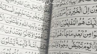 Quran Recite  |  SHORT VIDEO