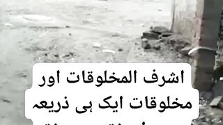 Donor aik he jaga say