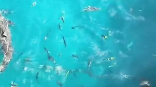 Sea beutiful