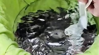 Amazing videos vol 526