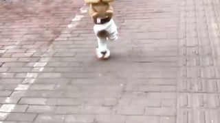 Video 41
