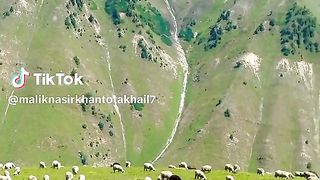 Hussan khud boltta h