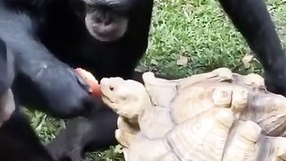 Funny ????????