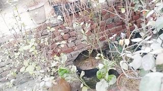 ماشاءاللہ اج کی ویڈیو دیکھیں
