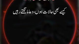 Aqwal Hazrat Ali #