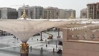 درود تاج  زیارت سبز گنبد