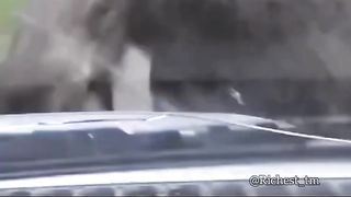 Humanity