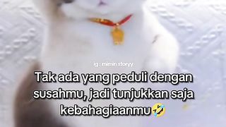 Kucing Gemoy