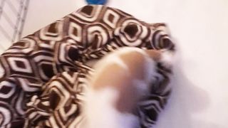 Crazy Chihuahua