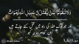 Razzaq5 -shaheed zinda hai _ Quran urdu whatsapp status _  urdu status _ quran. plz subscribe and watch my video