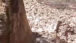 initial process of making bricks