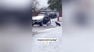 Try Not Laugh _ Fails Of The Week _ Funny Moments Compilation 1