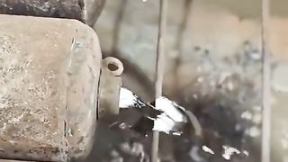 Amazing videos vol 538