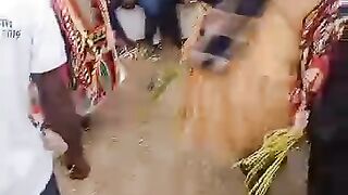 EGWU IKOLOBIA