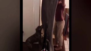 Funny video