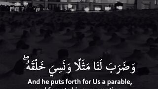 Surah Yaseen - Ayat 78-79 #quranic_mind