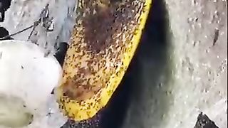 Natural Honey collection