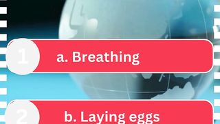 Quiz of The Day.