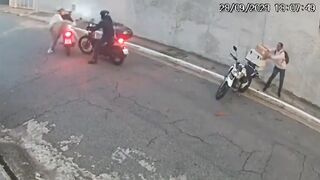 Himalayan owner uses his IQ ...