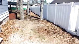 Angry people failing video