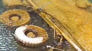 Amazing videos vol 543