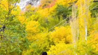 Gilgit Baltistan.#nature #gilgit #beautyofpakistan #nature #tourism #nature #gilgit #beautyofpakistan