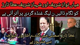Mian Nawaz Sharif and Shahbaz Sharif should rein in Atta Tarar... Atta Tarar who is famous for his dirty gestures in the assembly..