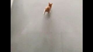 BILA KAU JADI KAKI RAYAU DAN BALIK RUMAH HANYA BILA LAPAR,LIHAT MACAM MANA GELAGAT DIA