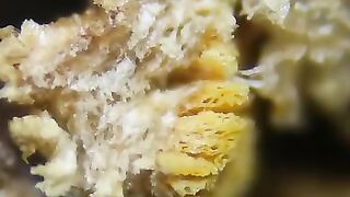 Do you know why smoking is harmful to human life