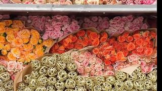 Very good flower