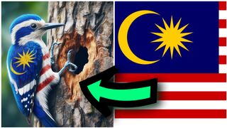Woodpecker but versions of  country flags
