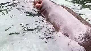 Amazing video