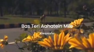 Song video