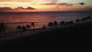 "Eternal Nightscapes: A Cinematic Exploration of Nature's Nocturnal Beauty ???????? #NatureCinematics #VisualHarmony"