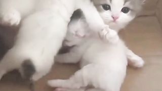 Kakak Mpuuuus Mengasuh Adik Na