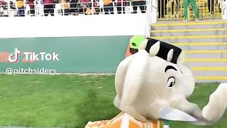 La mascotte de la can