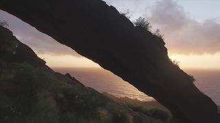 "Starlit Dreams: A Cinematic Overture to Nature's Nighttime Magic ????✨ #NatureCinematics #VisualSerenity"