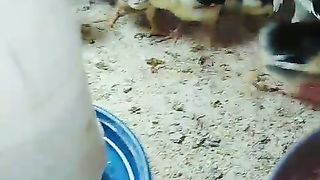 Eat your feed but do not