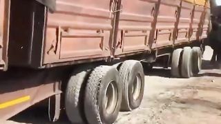 Elephants take advantage of a broken down orange truck in South Africa