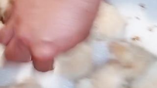 The brooder for chicken