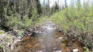 Beautiful game fishing